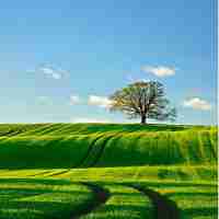 脚﻿本‌分‌镜‍表﻿