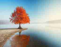 自​动‍化‌脚​本﻿赚﻿钱‌